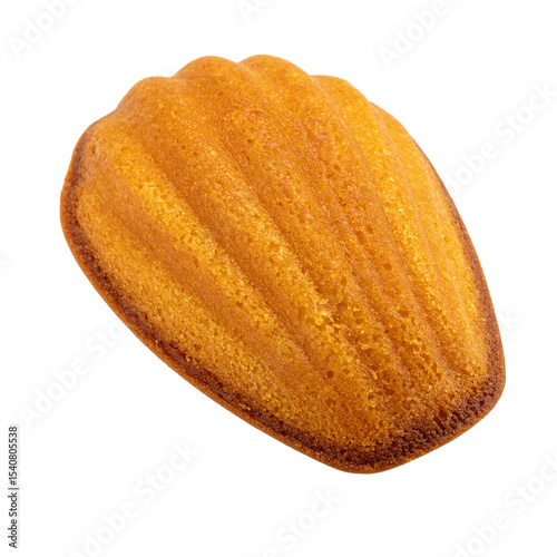 Golden brown shell-shaped madeleine cake against a clean backdrop on transparent background photo