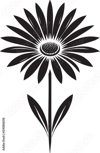 Daisy Flower Drawing Simple Guide Easy Steps and Ideas