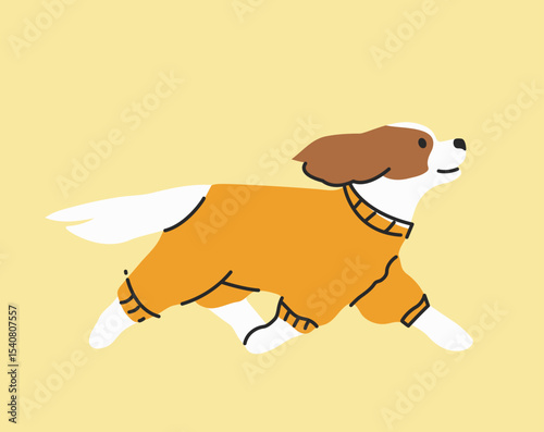 Cute running dog in orange jumpsuit. Modern cartoon style. Hand drawn vector illustration for a pet store. Charming Cavalier King Charles Spaniel.