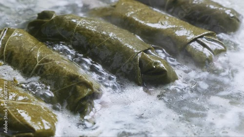 Homemade dolma with lamb is stewed in a frying pan with boiling vegetable oil and water. Medium shot.