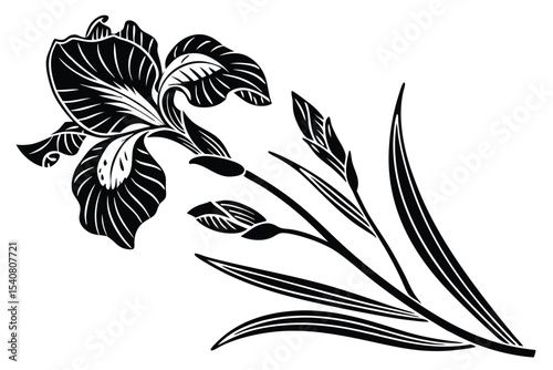 Elegant iris flower with delicate buds and leaves features a striking black silhouette