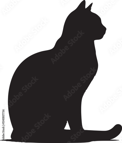 The Ultimate Guide to Understanding and Caring for Your Cat