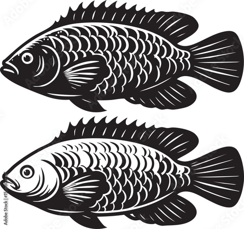 Exploring Tilapia Fish A Comprehensive Guide to Culinary Delights