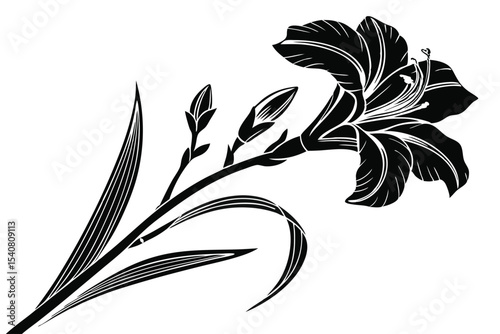 A detailed black floral drawing features a blooming lily and unopened buds on white