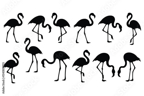 Flamingo silhouettes collection isolated on white background