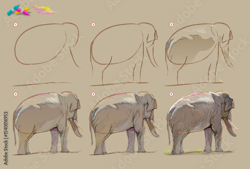 Page shows how to learn to draw from life sketch of the Asian elephant. Creation step by step painting with pastel chalks. Educational page for artists. Hand drawn vector illustration.