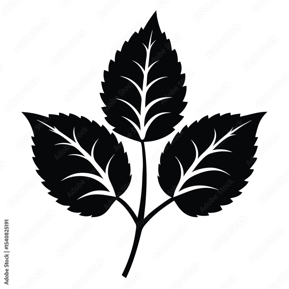 Fototapeta premium Black Vector Illustration Depicting Three Serrated Leaves Connected By A Single Stem