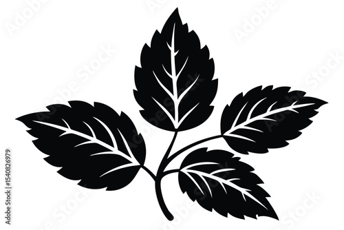 Detailed Black Leafy Branch Graphic, Vector Botanical Illustration, Ornamental Design Element