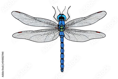 A dragonfly darting through the summer air, its agile movements adding a dynamic element to the scene