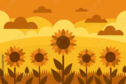 sunflower field vector illustration