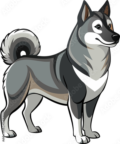 Norwegian Elkhound