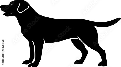 Labrador_Silhouette_Illustration