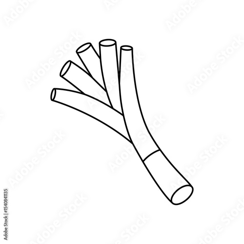 Spring onions outline symbol. Fresh organic vegetable. Natural vegetarian food. Healthy eating. Vector illustration