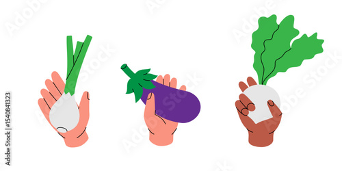 Set of hands holding fresh vegetables. Green onion, eggplant and white beet. Healthy food, organic produce and clean eating. Vector illustration.