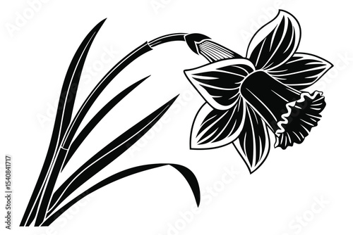 Single black narcissus flower shows intricate detailing and delicate curves in isolated vector