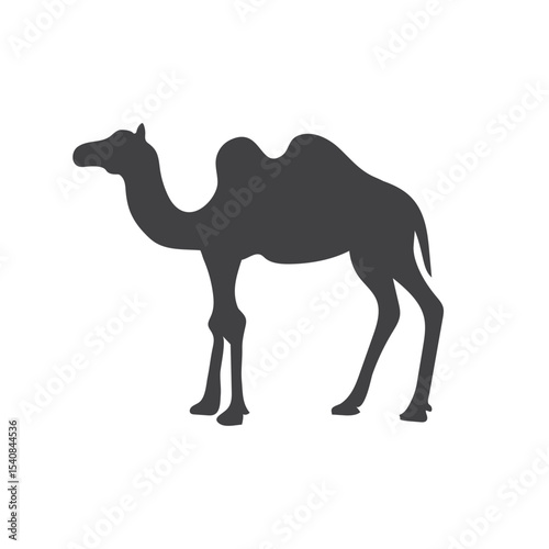 Camel animal silhouette. Vector image