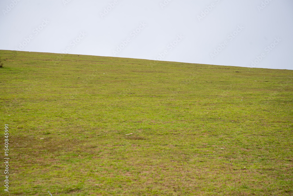 Obraz premium Misty Hills and Countryside Drive – Scenic View from Ooty Highlands