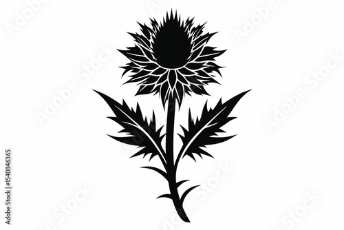 Elegant Black Silhouette of a Thistle Flower with Detailed Leaves and Stem Design
