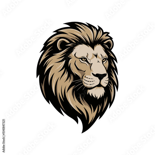 Realistic color male lion head vector art