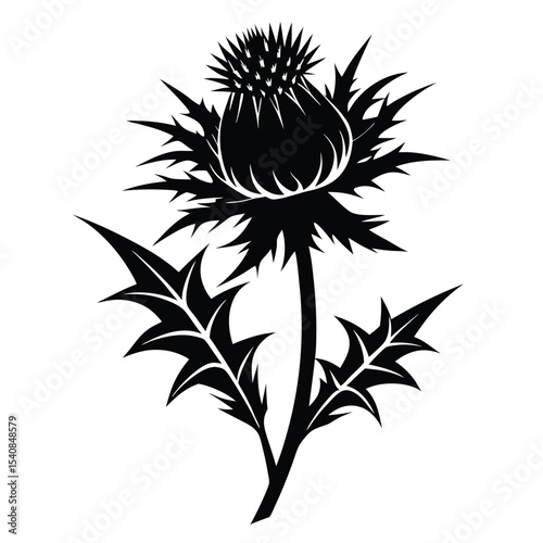 Silhouette Illustration of a Spiky Thistle Plant with Leaves and Stem Design