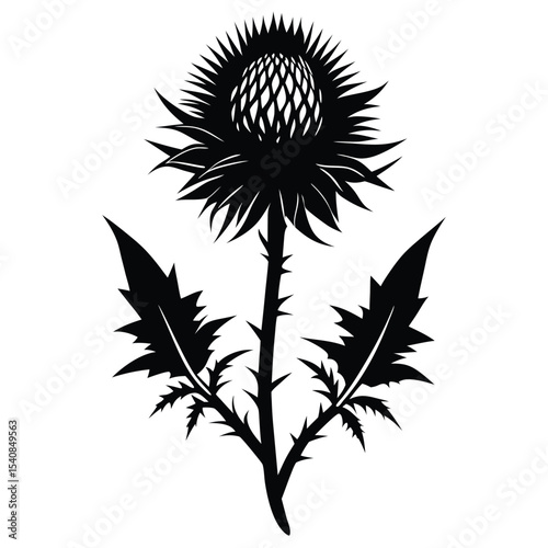 Stylized Black Silhouette of a Thistle Flower with Jagged Leaves and Thorny Stem