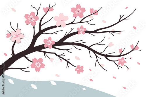Blooming pink cherry blossom flowers adorn bare branches above a light blue ground in spring