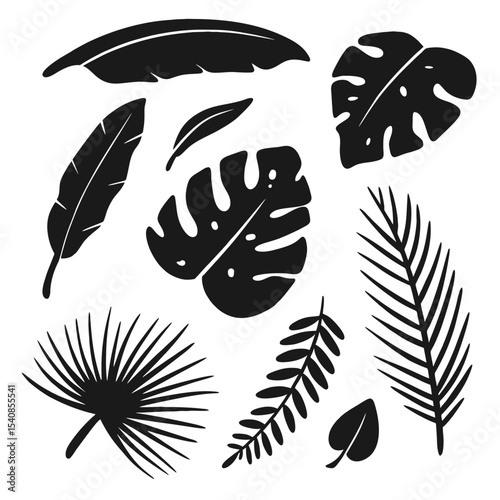 Collection of black and white leafy plants, including palm leaves, ferns, and palm fronds