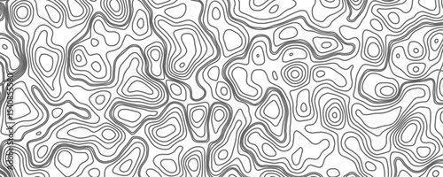 Minimalist topographic contour lines on a clean white background, smooth elevation curves, black fine lines, abstract geographic map style, elevation lines forming organic shapes, high contrast, 