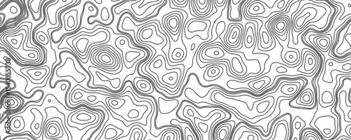 Minimalist topographic contour lines on a clean white background, smooth elevation curves, black fine lines, abstract geographic map style, elevation lines forming organic shapes, high contrast, 