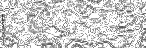 Minimalist topographic contour lines on a clean white background, smooth elevation curves, black fine lines, abstract geographic map style, elevation lines forming organic shapes, high contrast, 
