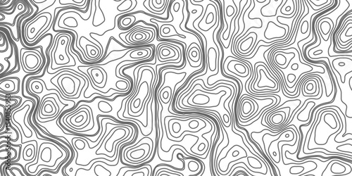 Minimalist topographic contour lines on a clean white background, smooth elevation curves, black fine lines, abstract geographic map style, elevation lines forming organic shapes, high contrast, 