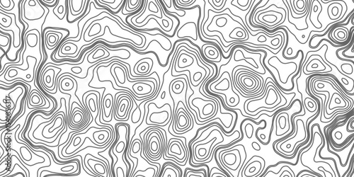 Minimalist topographic contour lines on a clean white background, smooth elevation curves, black fine lines, abstract geographic map style, elevation lines forming organic shapes, high contrast, 