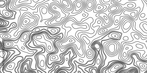Minimalist topographic contour lines on a clean white background, smooth elevation curves, black fine lines, abstract geographic map style, elevation lines forming organic shapes, high contrast, 