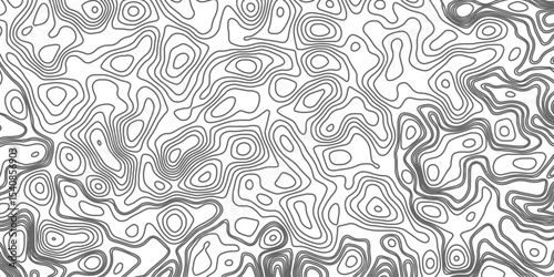 Minimalist topographic contour lines on a clean white background, smooth elevation curves, black fine lines, abstract geographic map style, elevation lines forming organic shapes, high contrast, 
