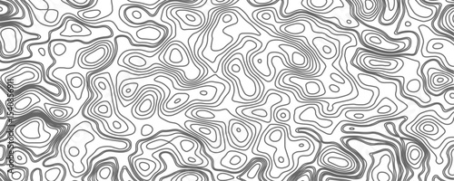 Minimalist topographic contour lines on a clean white background, smooth elevation curves, black fine lines, abstract geographic map style, elevation lines forming organic shapes, high contrast, 