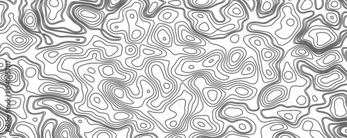 Minimalist topographic contour lines on a clean white background, smooth elevation curves, black fine lines, abstract geographic map style, elevation lines forming organic shapes, high contrast, 