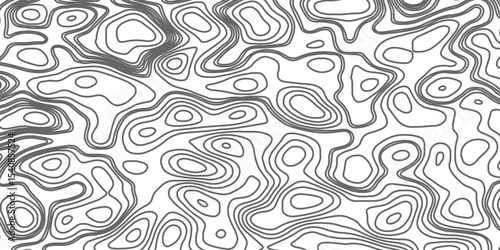Minimalist topographic contour lines on a clean white background, smooth elevation curves, black fine lines, abstract geographic map style, elevation lines forming organic shapes, high contrast, 