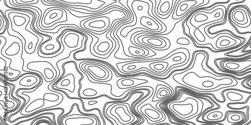 Minimalist topographic contour lines on a clean white background, smooth elevation curves, black fine lines, abstract geographic map style, elevation lines forming organic shapes, high contrast, 