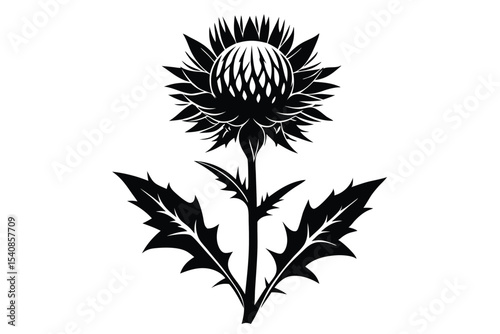Black silhouette of thistle with spiky leaves and floral bloom vector drawing