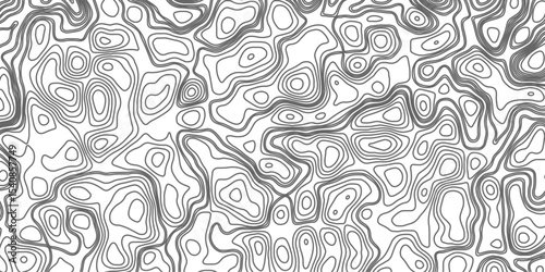 Minimalist topographic contour lines on a clean white background, smooth elevation curves, black fine lines, abstract geographic map style, elevation lines forming organic shapes, high contrast, 
