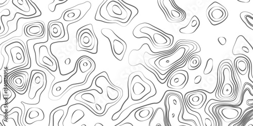 Minimalist topographic contour lines on a clean white background, smooth elevation curves, black fine lines, abstract geographic map style, elevation lines forming organic shapes, high contrast, 