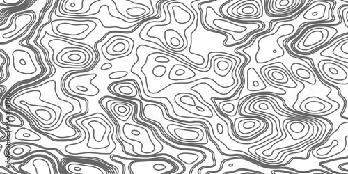 Minimalist topographic contour lines on a clean white background, smooth elevation curves, black fine lines, abstract geographic map style, elevation lines forming organic shapes, high contrast, 
