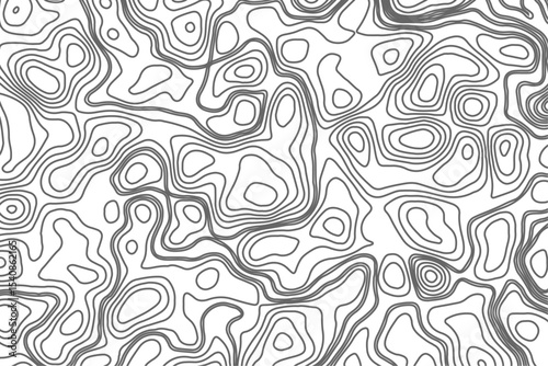 Minimalist topographic contour lines on a clean white background, smooth elevation curves, black fine lines, abstract geographic map style, elevation lines forming organic shapes, high contrast.