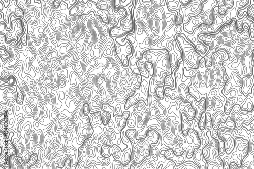 Minimalist topographic contour lines on a clean white background, smooth elevation curves, black fine lines, abstract geographic map style, elevation lines forming organic shapes, high contrast.