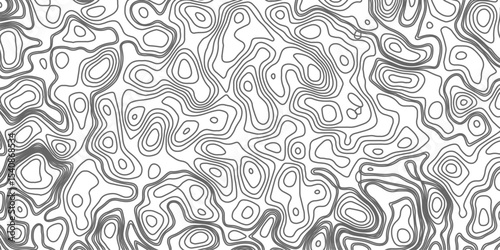 Minimalist topographic contour lines on a clean white background, smooth elevation curves, black fine lines, abstract geographic map style, elevation lines forming organic shapes, high contrast, 