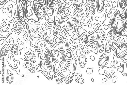 Minimalist topographic contour lines on a clean white background, smooth elevation curves, black fine lines, abstract geographic map style, elevation lines forming organic shapes, high contrast.