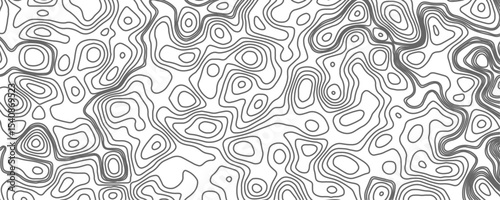 Minimalist topographic contour lines on a clean white background, smooth elevation curves, black fine lines, abstract geographic map style, elevation lines forming organic shapes, high contrast.