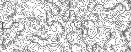 Minimalist topographic contour lines on a clean white background, smooth elevation curves, black fine lines, abstract geographic map style, elevation lines forming organic shapes, high contrast.