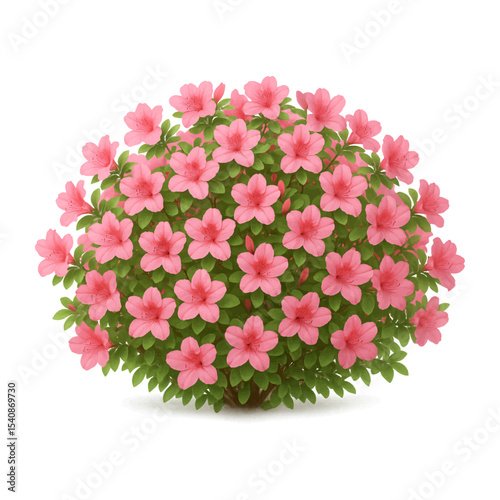 Pink Azalea Flowering Bush