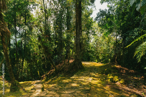 Natural landscapes in the Lost City in Tayrona National Park. Santa Marta Magdalena, Colombia.